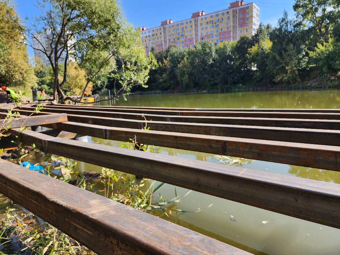 благоустройство, малый тарычевский пруд, набережная тарычевского пруда, видное, ленинский округ,благоустройство набережной, брусника, зеленые аллеи,
