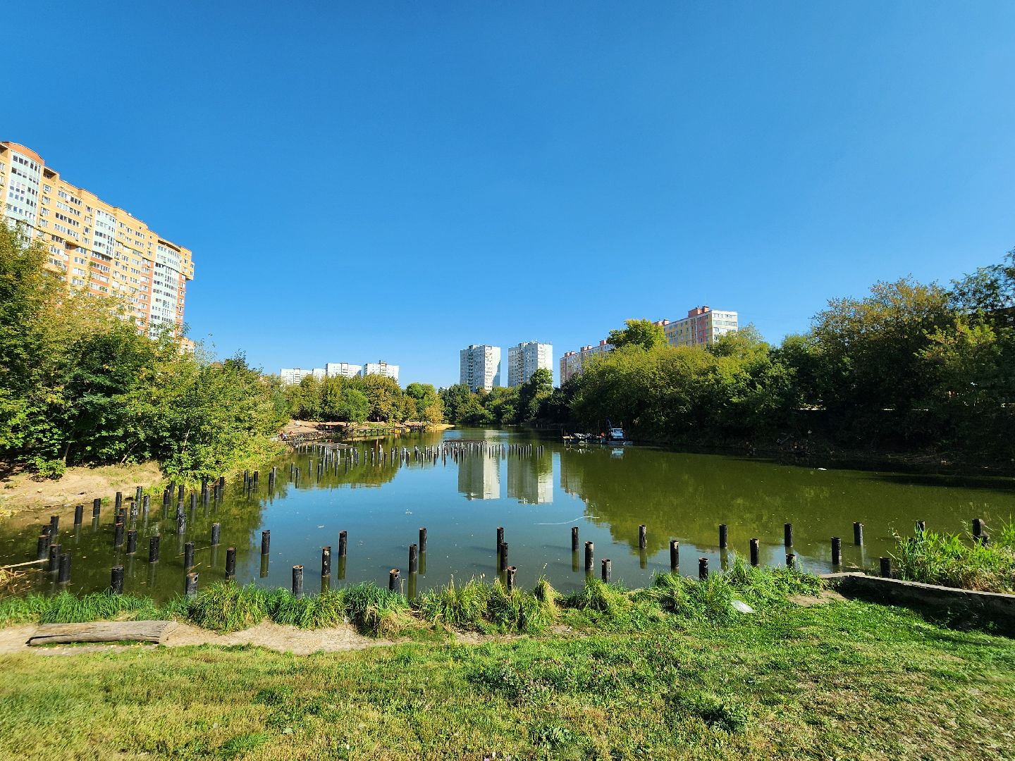 благоустройство, малый тарычевский пруд, набережная тарычевского пруда, видное, ленинский округ,благоустройство набережной, брусника, зеленые аллеи,