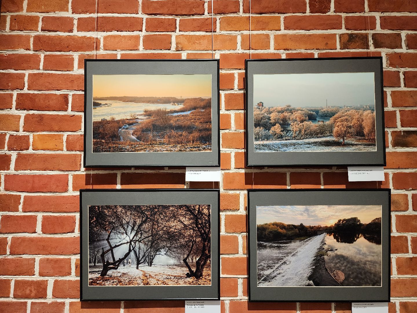 серпухов, выставка, подмосковье,