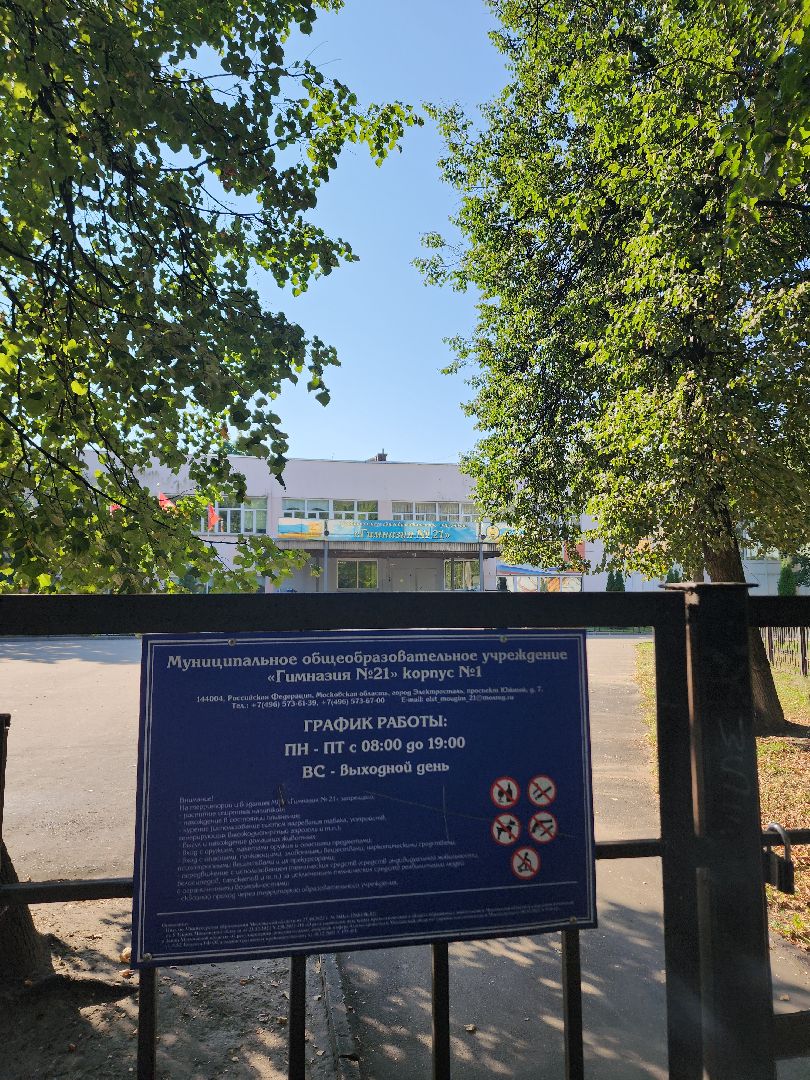 образование, образование в подмосковье, учитель, учитель физики, топ 100 учителей подмосковья, гимназия 21, электросталь, мой город, жители города,