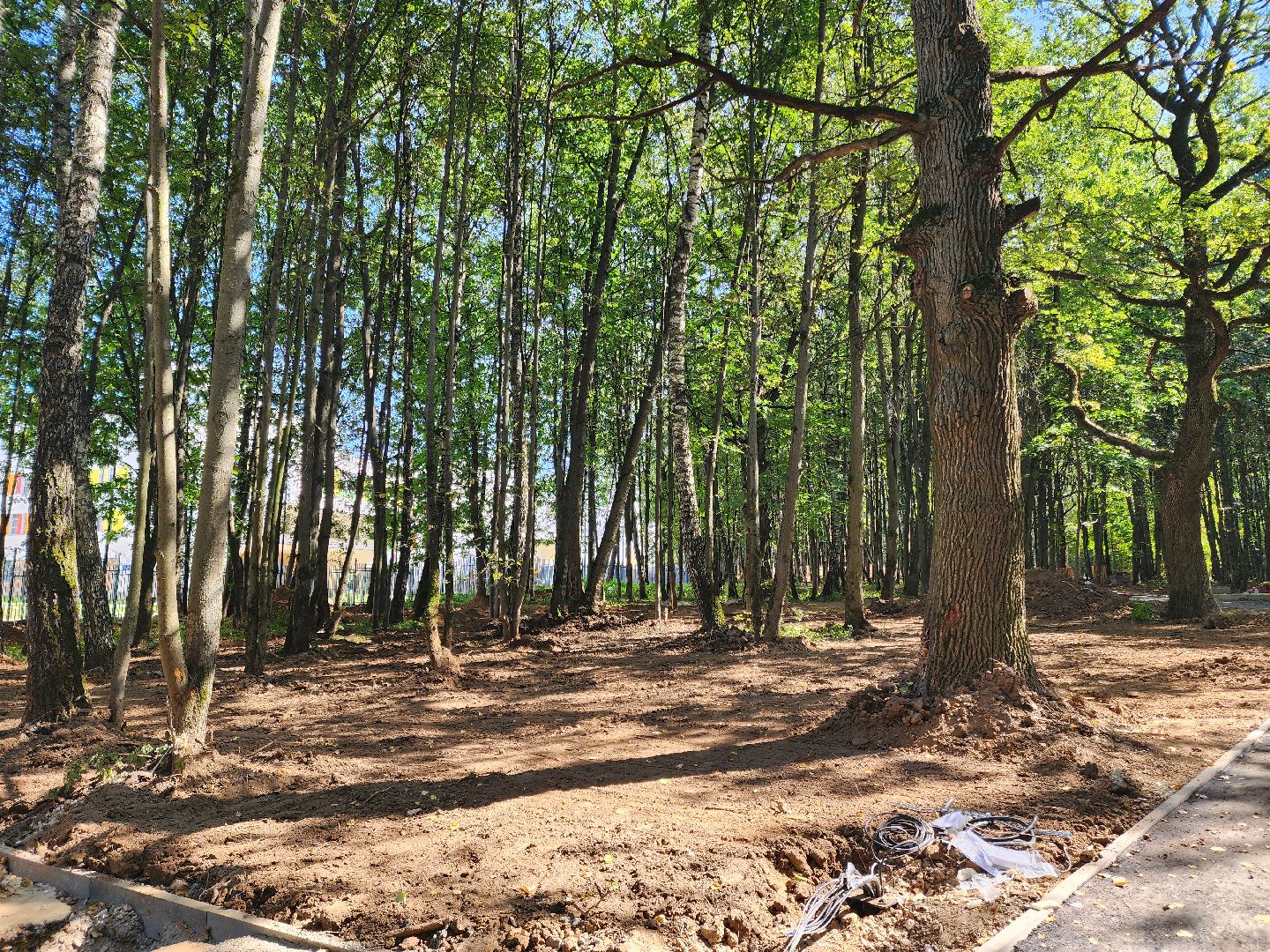 Подольск, ФДРЦ, реабилитационный центр, дети с овз, благоустройство 2024,