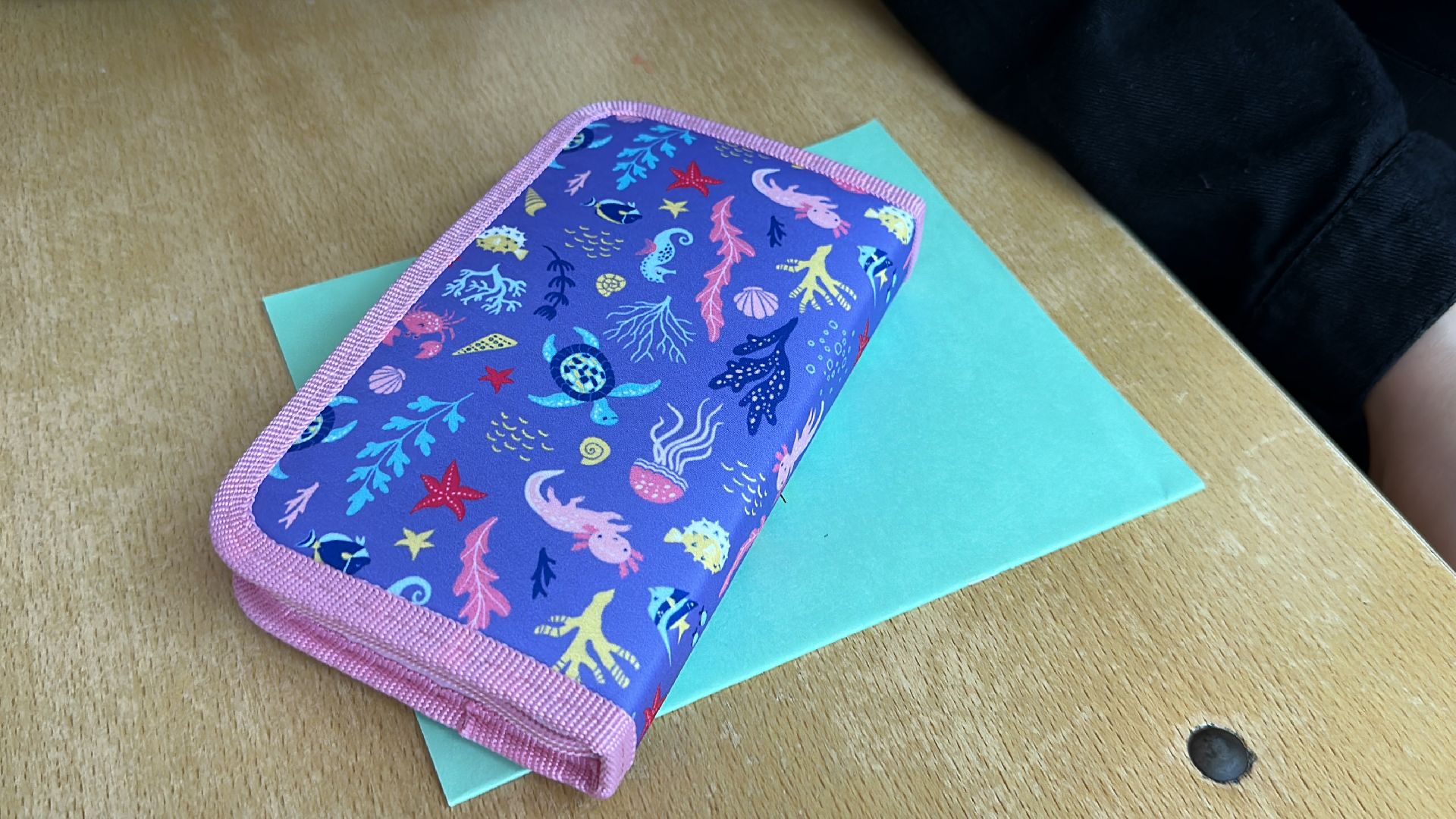 Клин, общество, дети, Курск, Суджа, помощь, образование, школа,