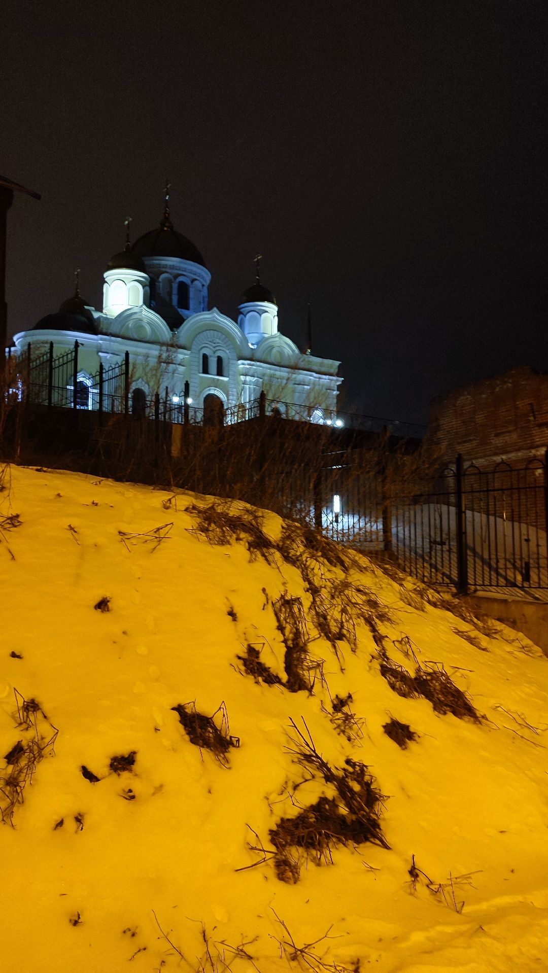 Кашира, общество