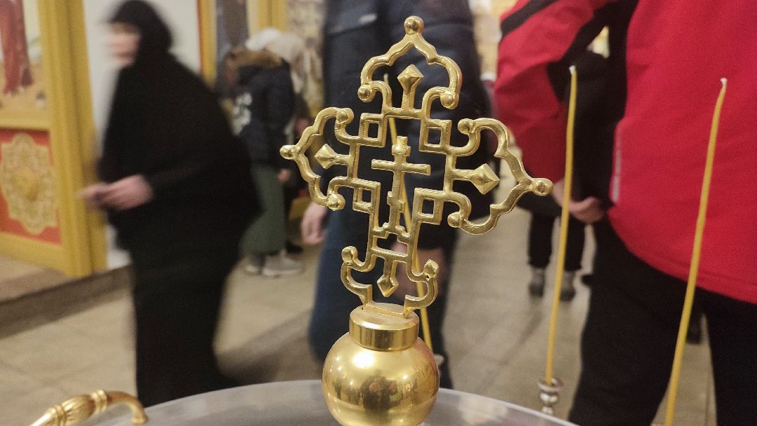 Кашира, общество