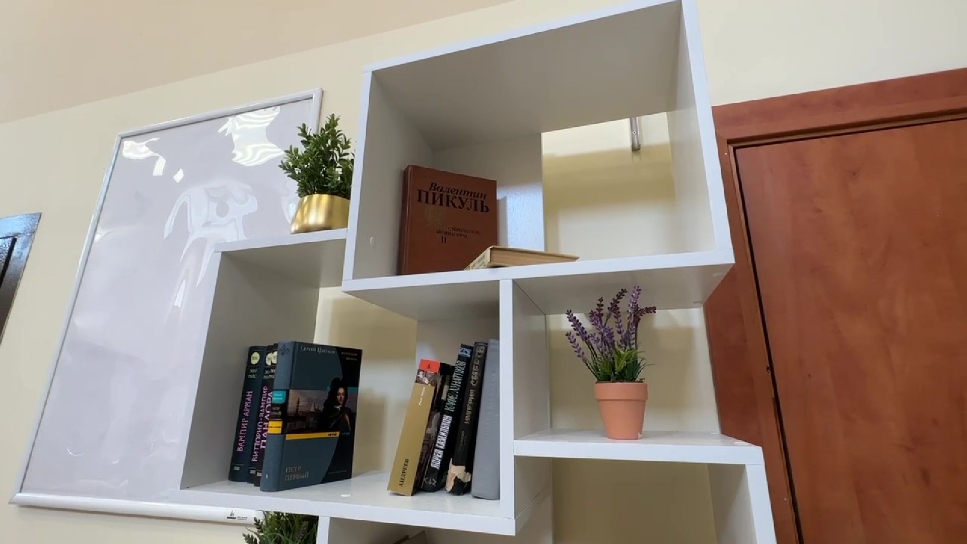 Реутов, МФЦ, буккроссинг, обмен книгами, библиотека, чтение, книги, классическая литература