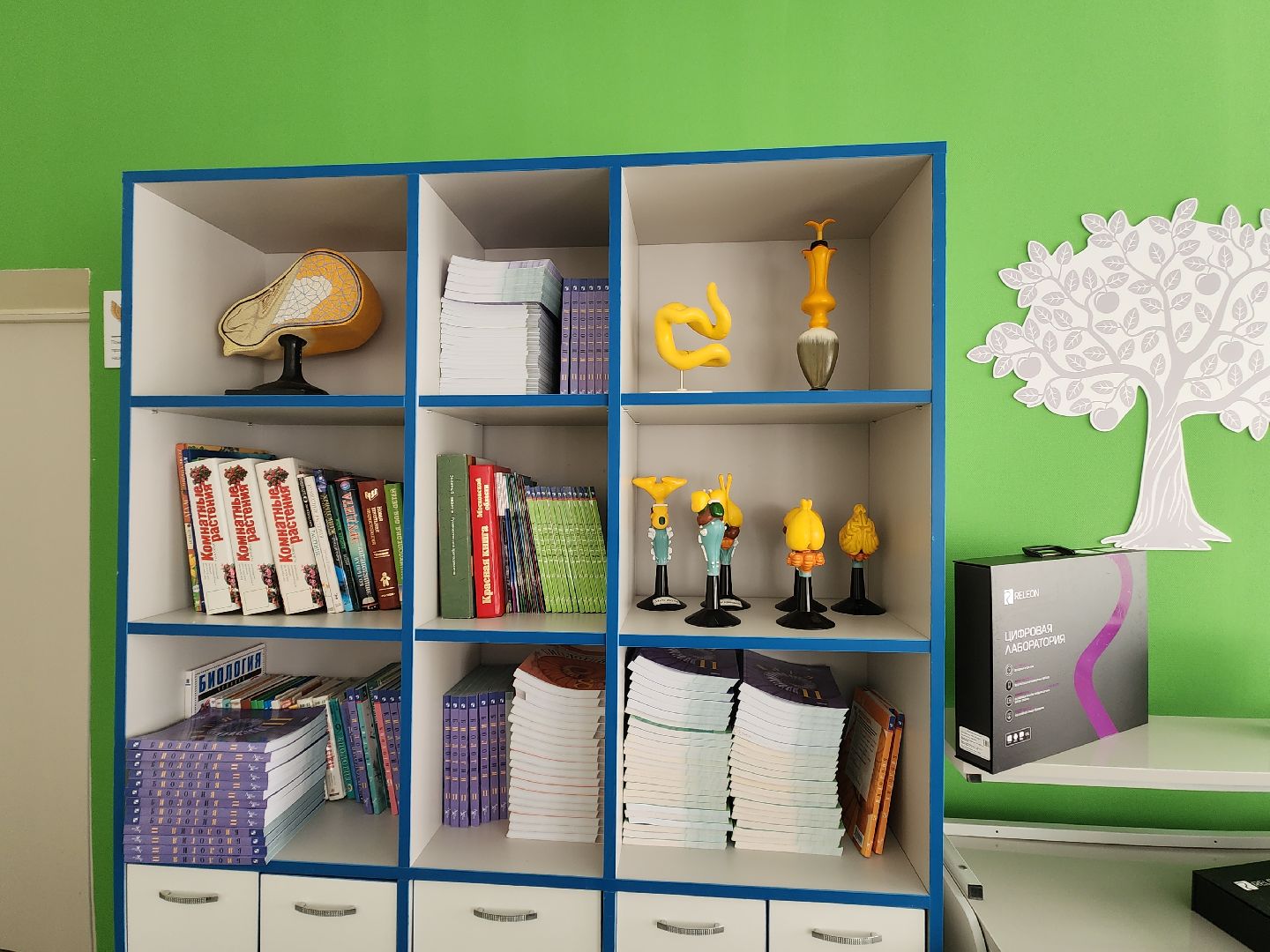 точка роста, ремонт в школе,