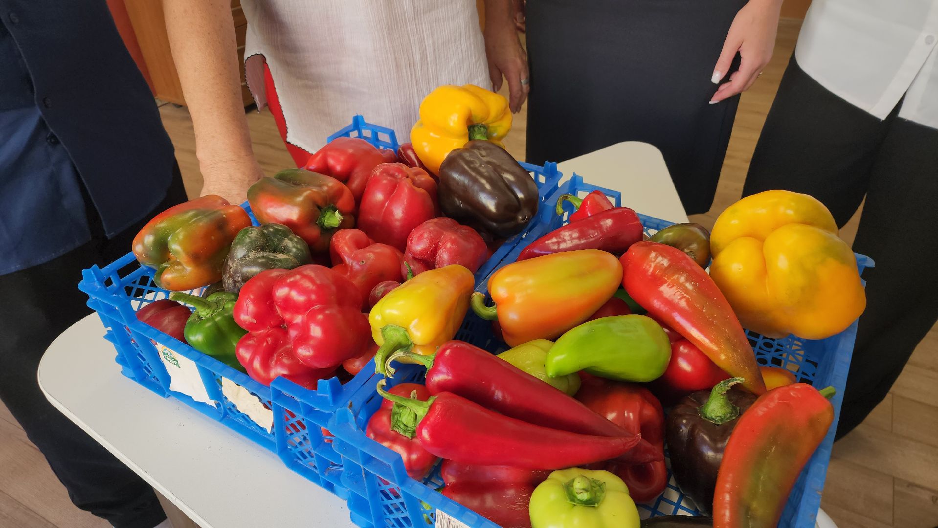 ступино, образование, агроклассы,