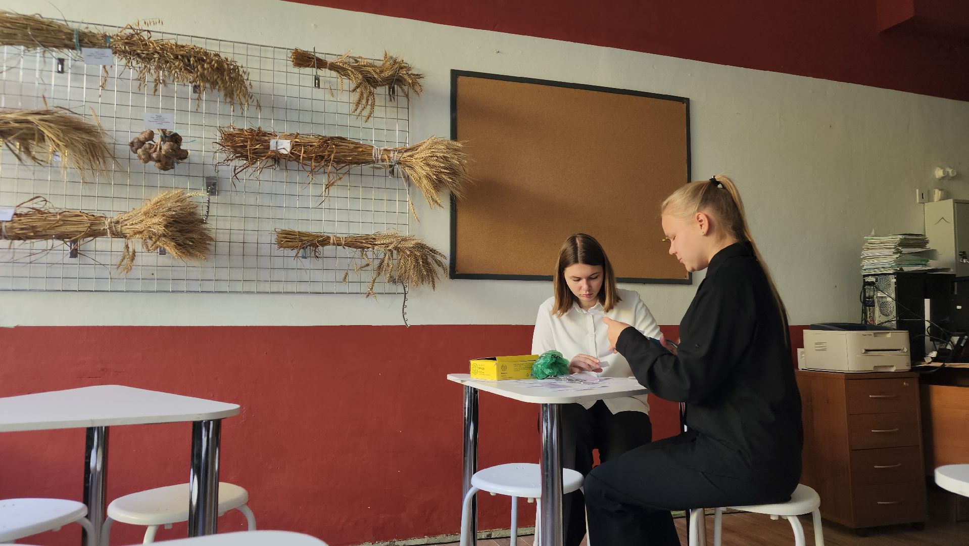 ступино, образование, агроклассы,