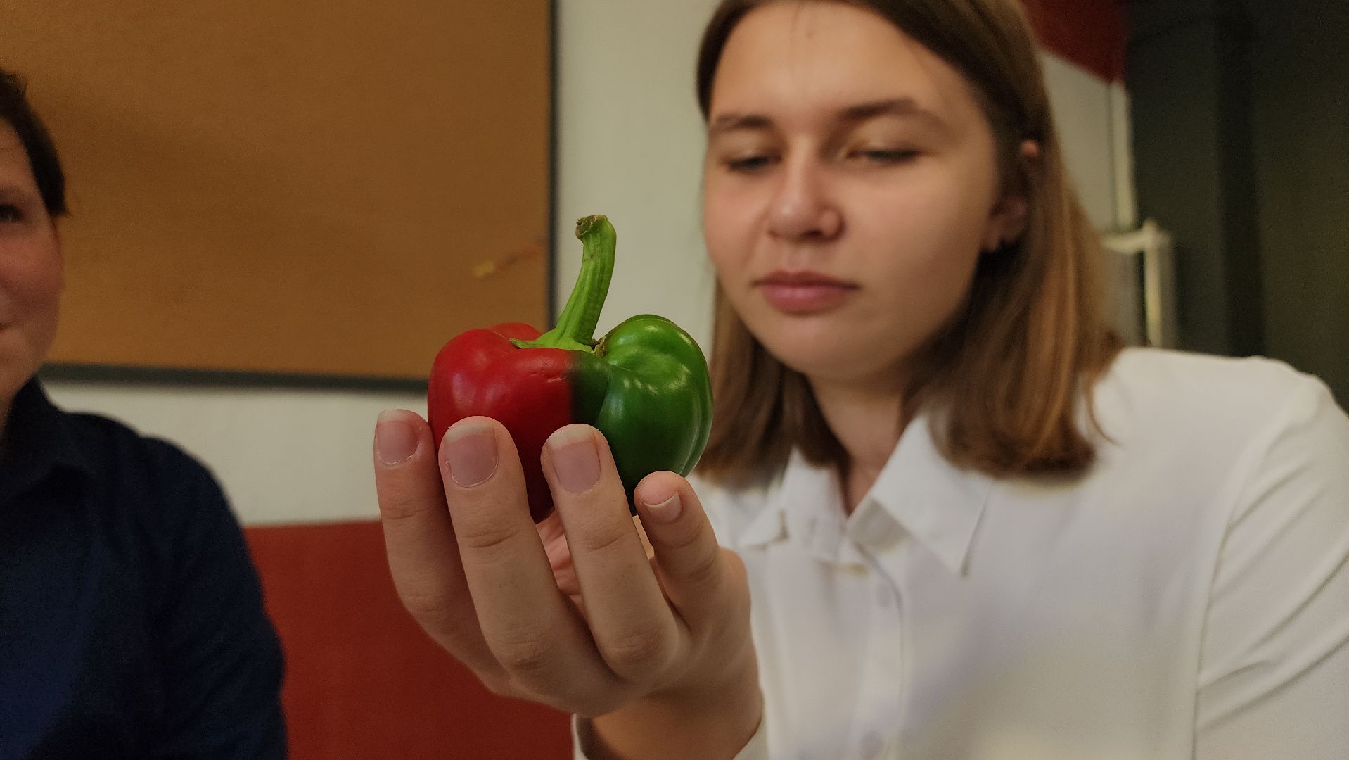 ступино, образование, агроклассы,