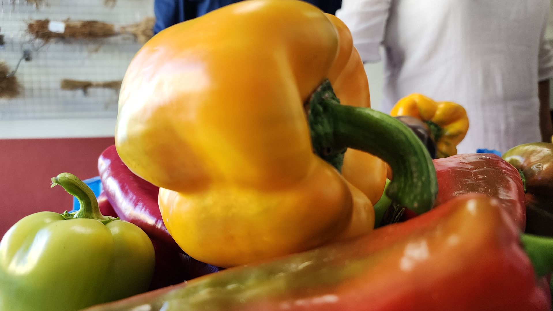 ступино, образование, агроклассы,