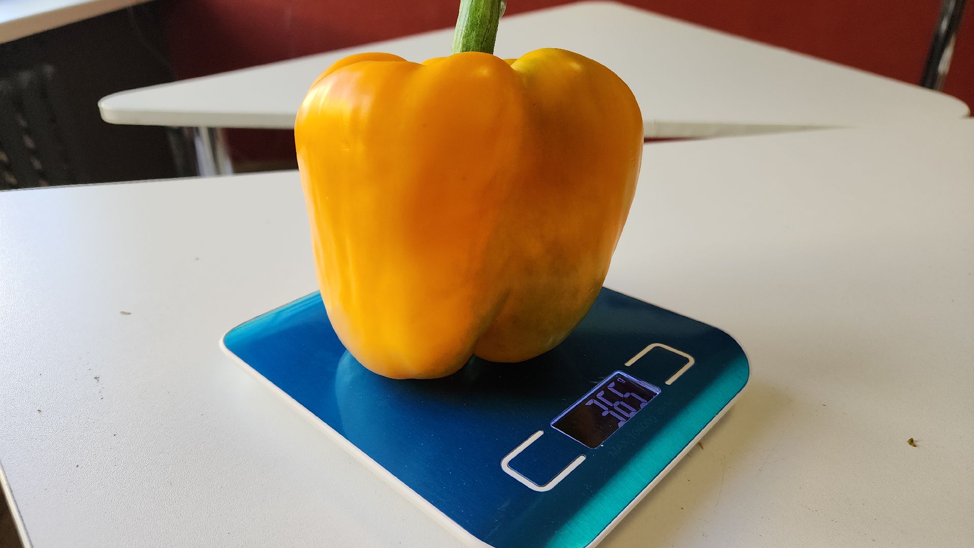 ступино, образование, агроклассы,