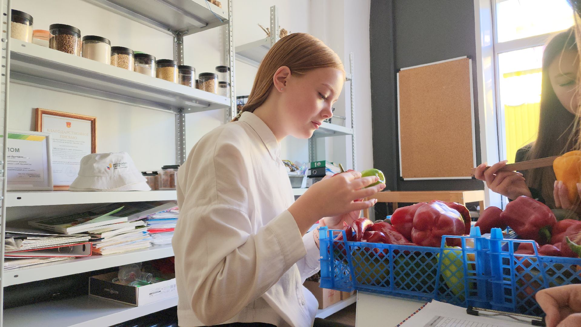 ступино, образование, агроклассы,