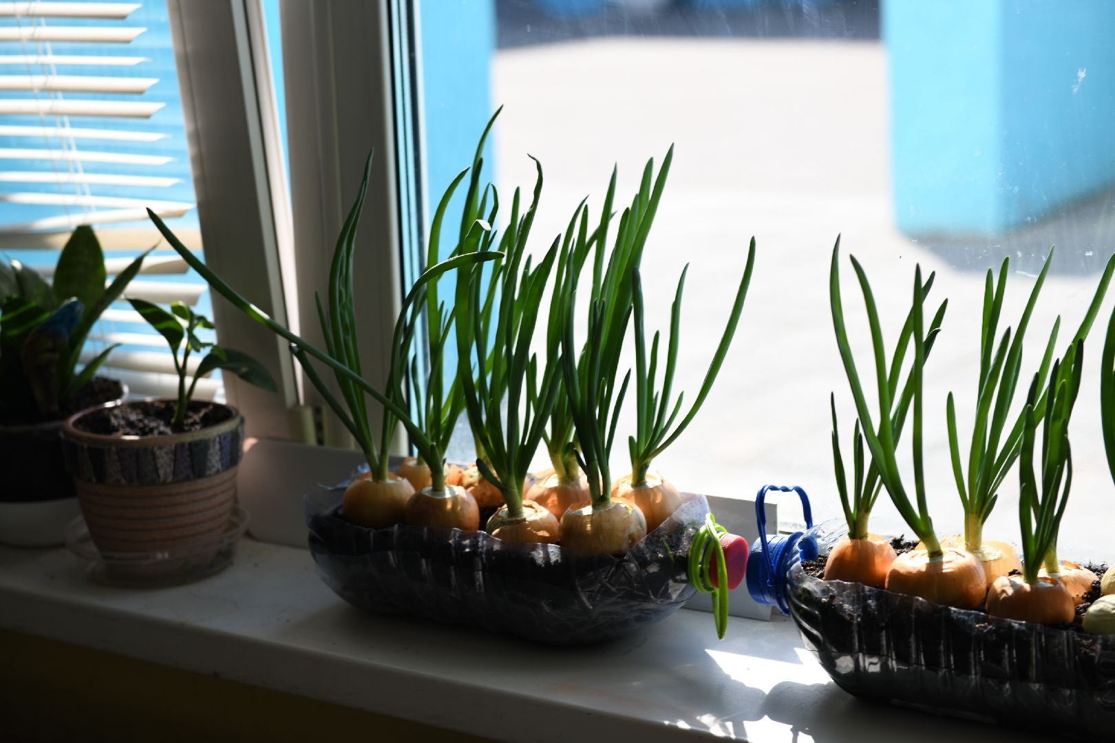 лыткарино, дачный сезон, гимназия