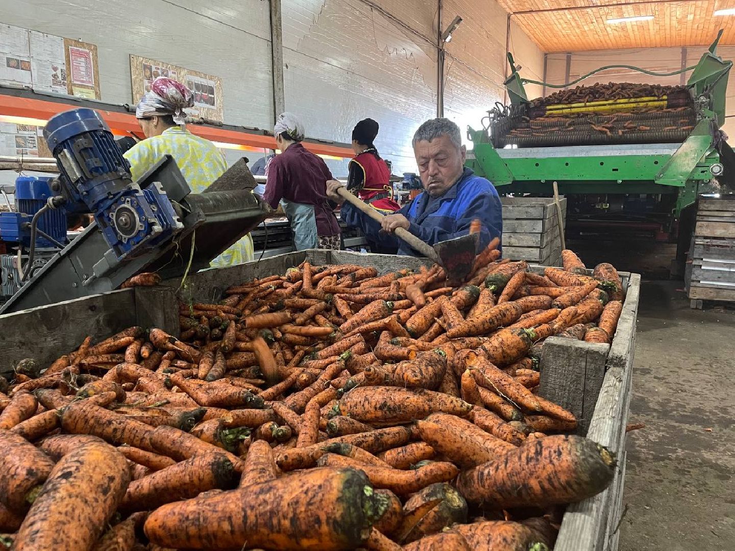 Дмитров, Мосагрофуд, Минсельхоз,