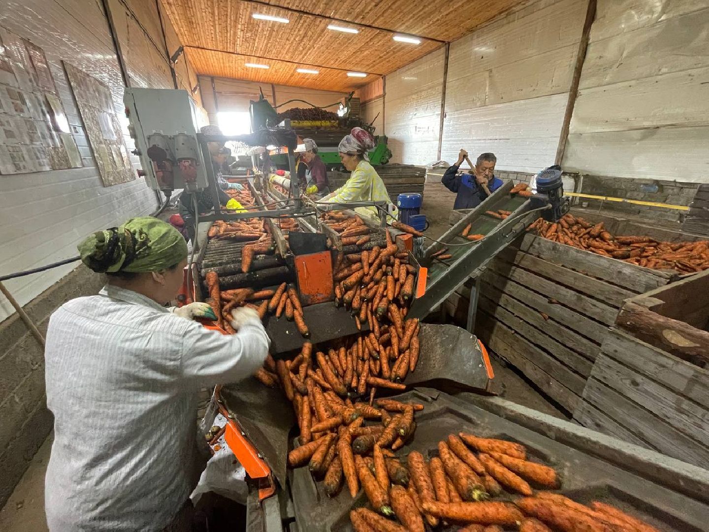 Дмитров, Мосагрофуд, Минсельхоз,