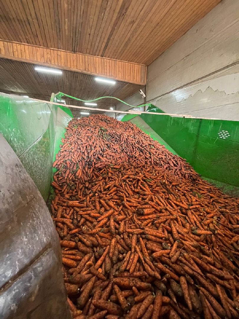 Дмитров, Мосагрофуд, Минсельхоз,