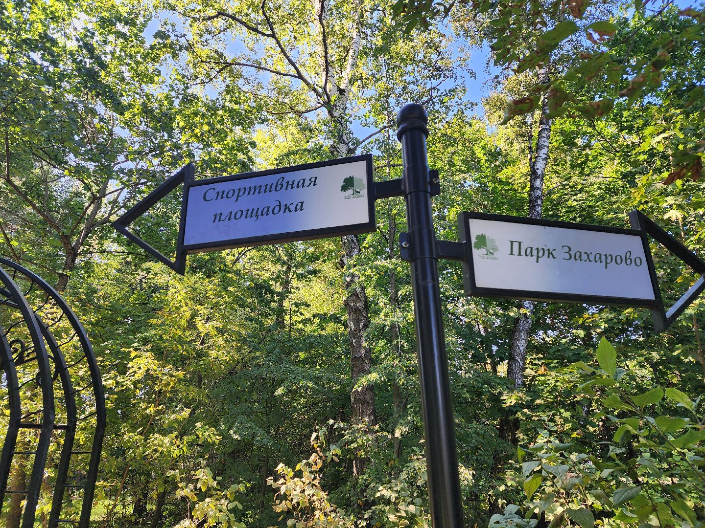 одинцово, захарово, благоустройство, скейт-парк, воркаут, волейбол, настольный теннис,