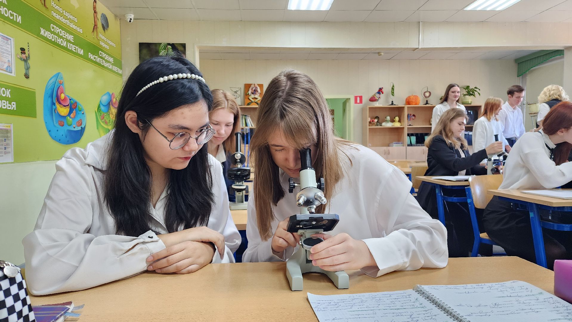 Бронницы, учитель биологии, Учитель бронницкой школы, учитель подмосковья -2024,