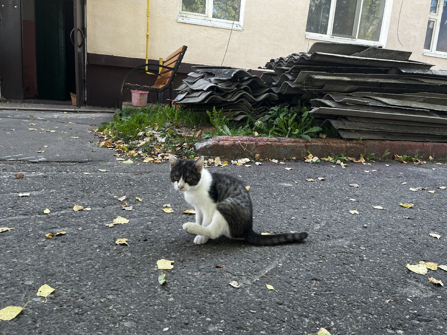 волоколамск, ремонт домов,