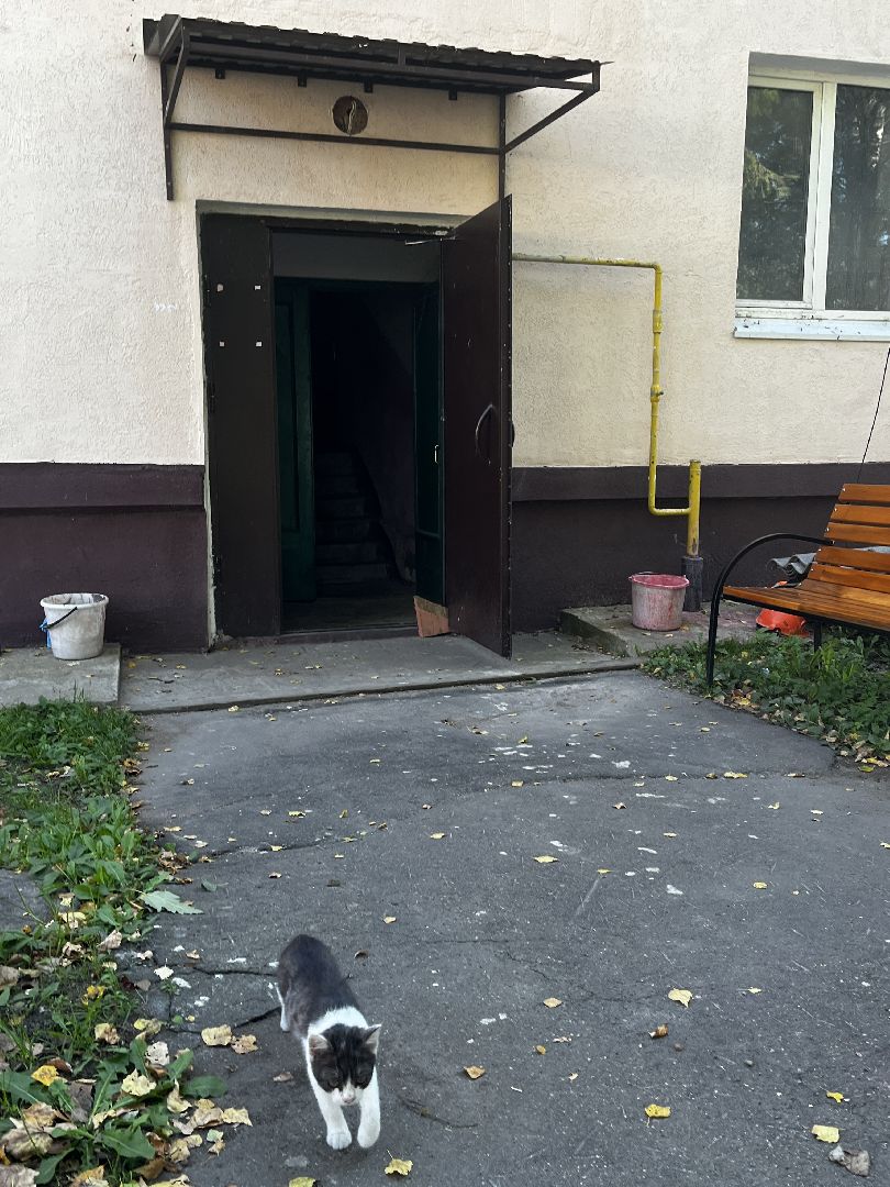 волоколамск, ремонт домов,