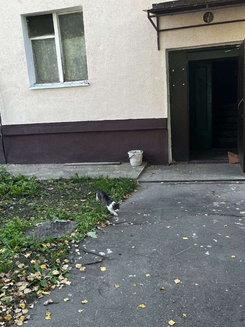 волоколамск, ремонт домов,