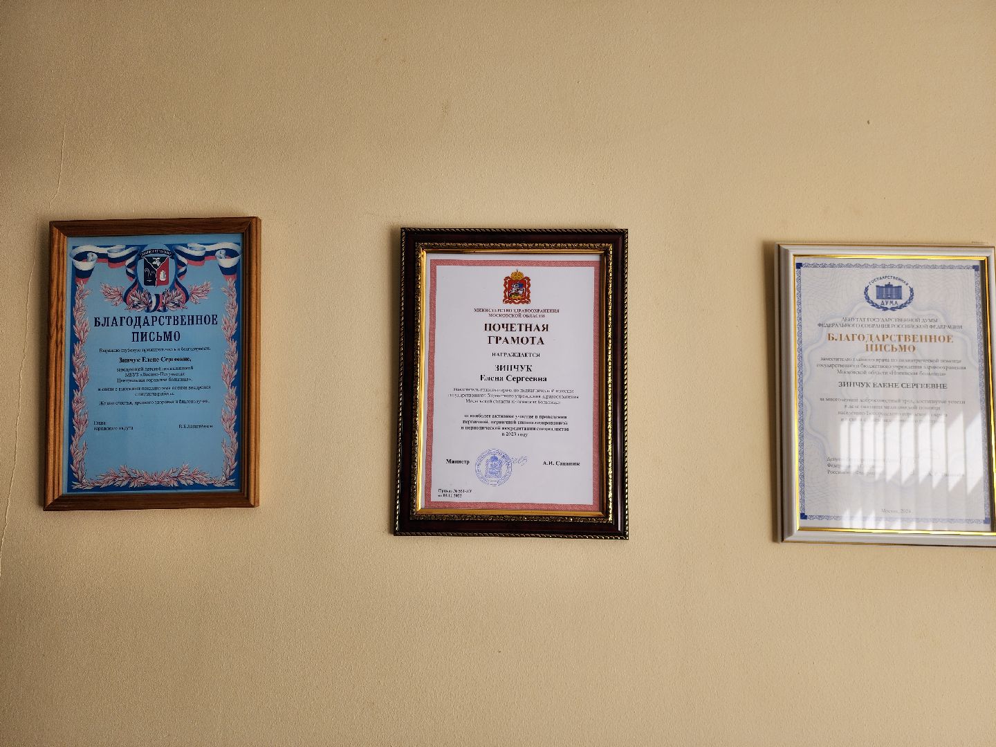 ногинск, медецина, здравоохранение, врач, педиатр, губернатор московской области, общесто, жители, дети,