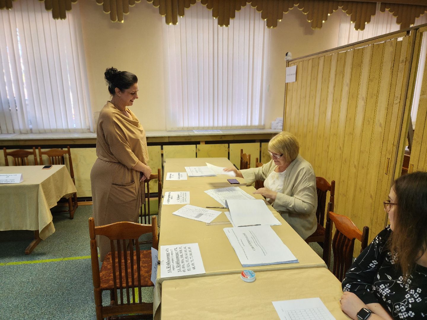 воскресенск, выборы, выборы депутатов,