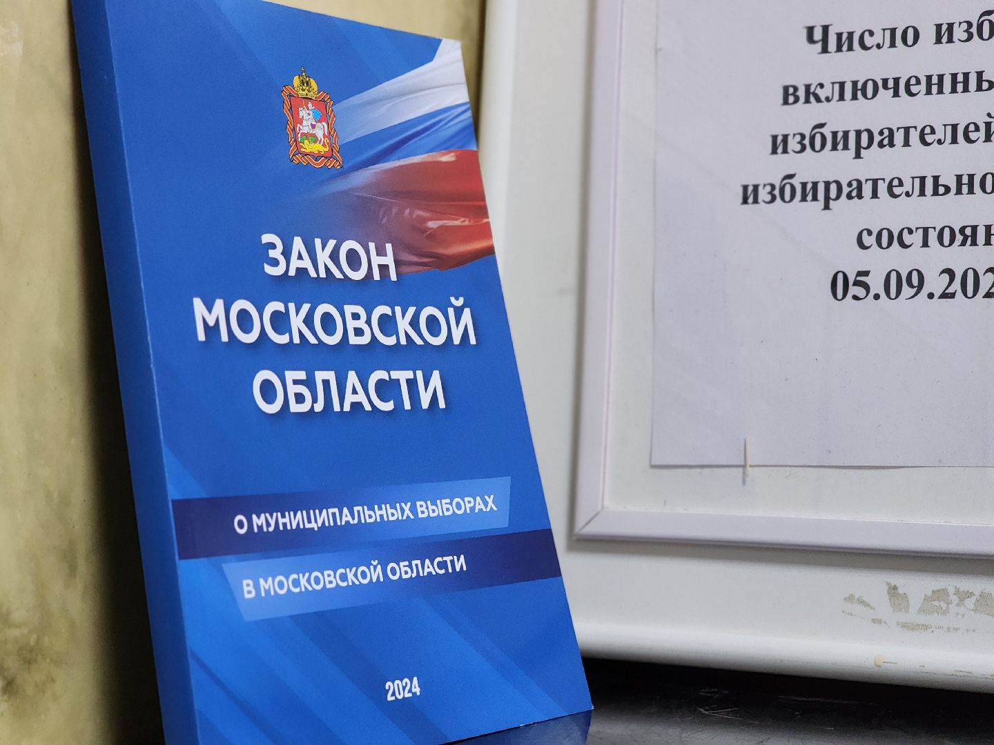 воскресенск, выборы, выборы депутатов,