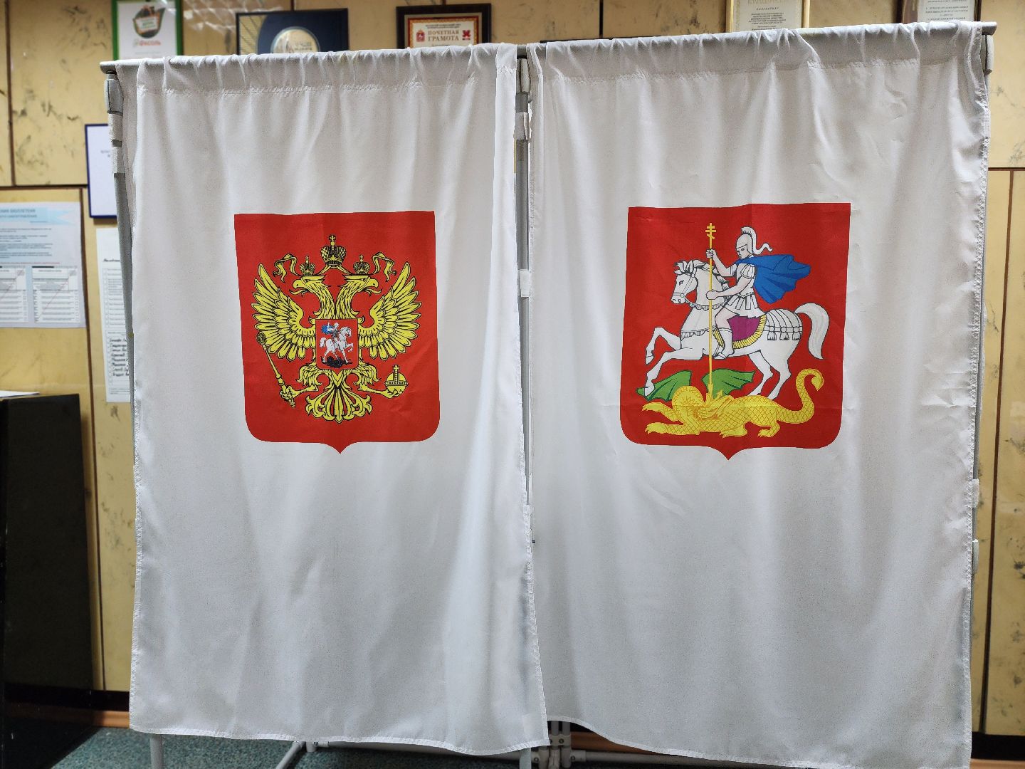 воскресенск, выборы, выборы депутатов,