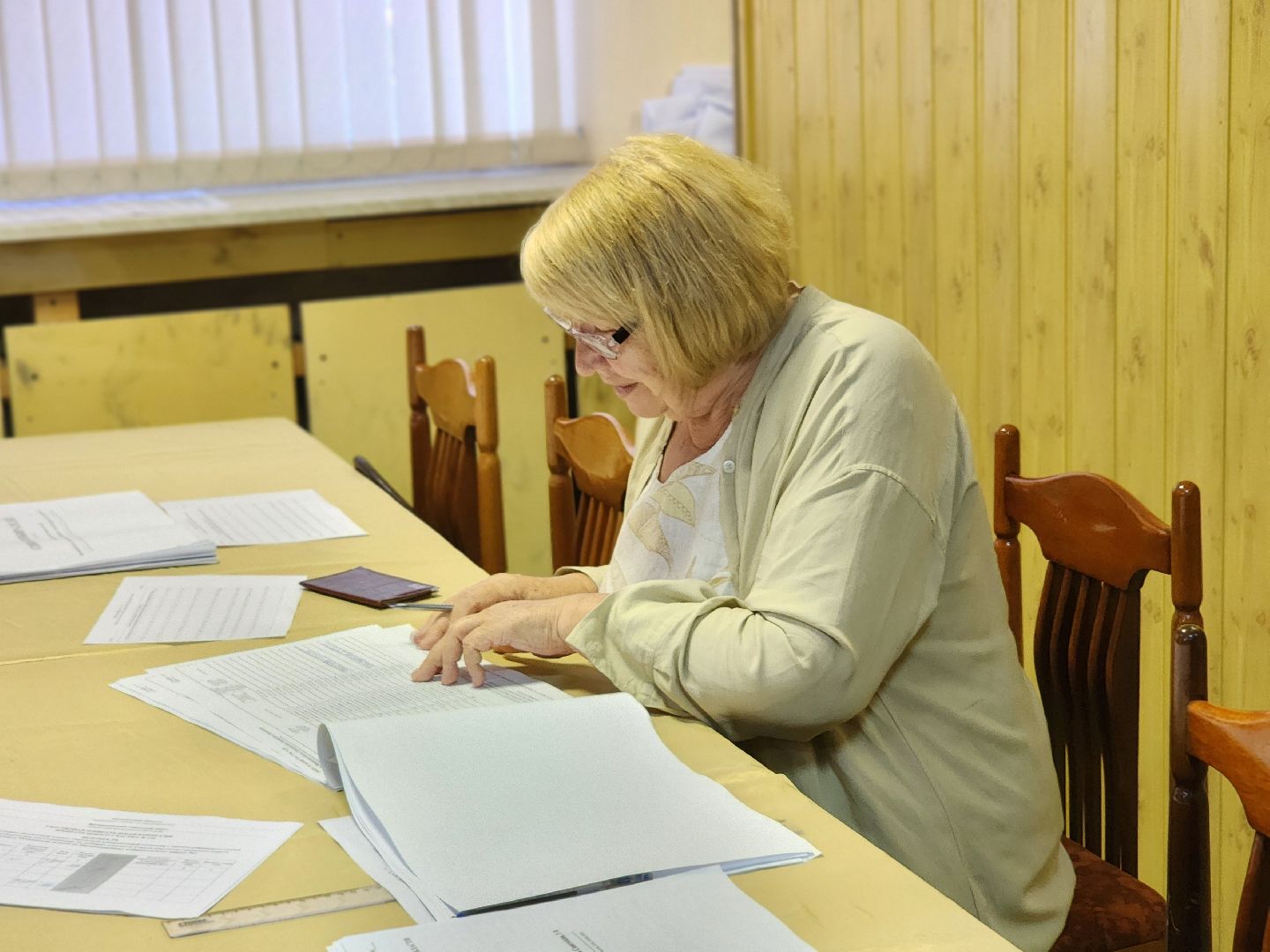 воскресенск, выборы, выборы депутатов,