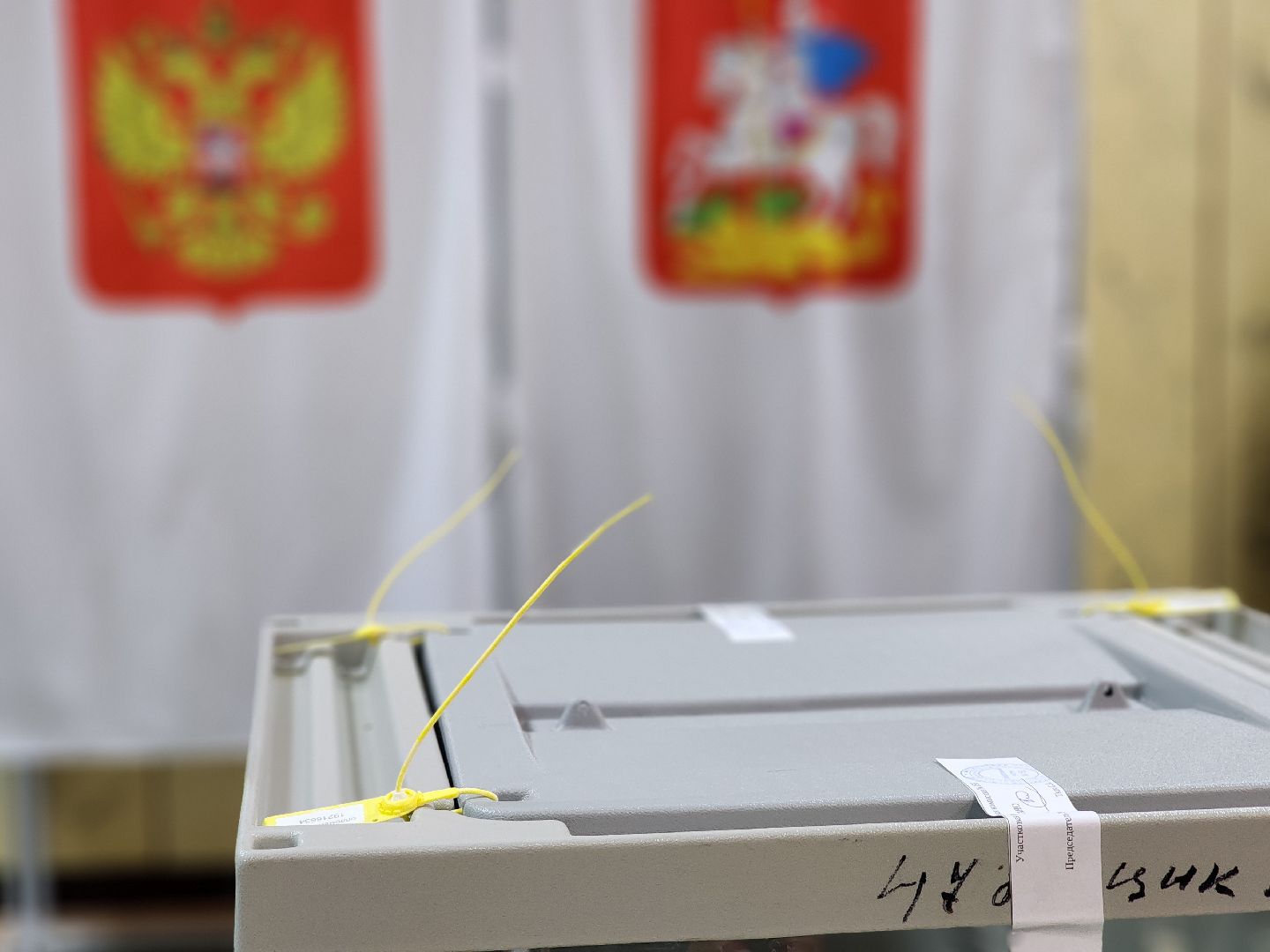 воскресенск, выборы, выборы депутатов,