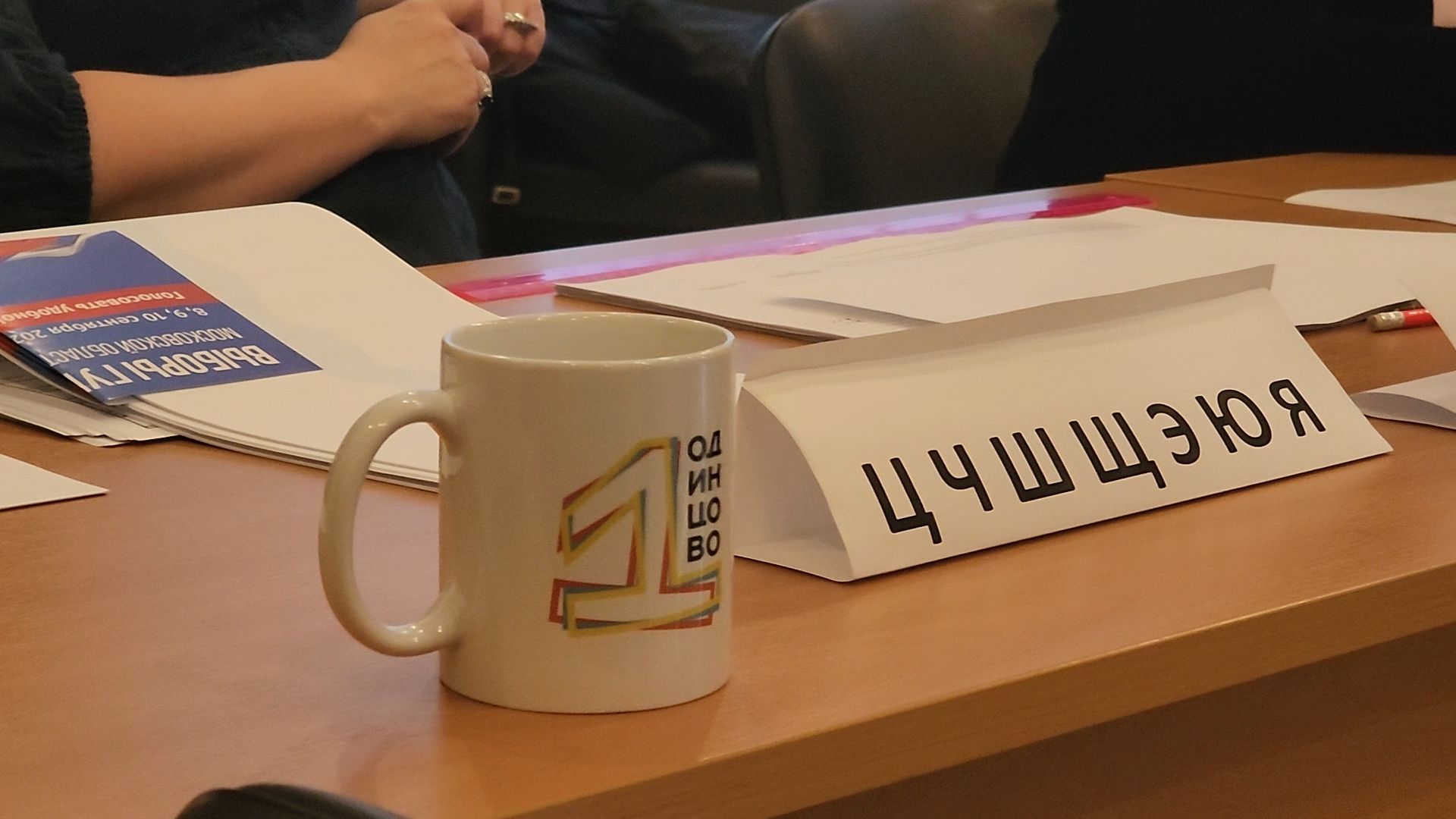 одинцово, жуковка, барвиха,выборы, муниципальные выборы 2024,