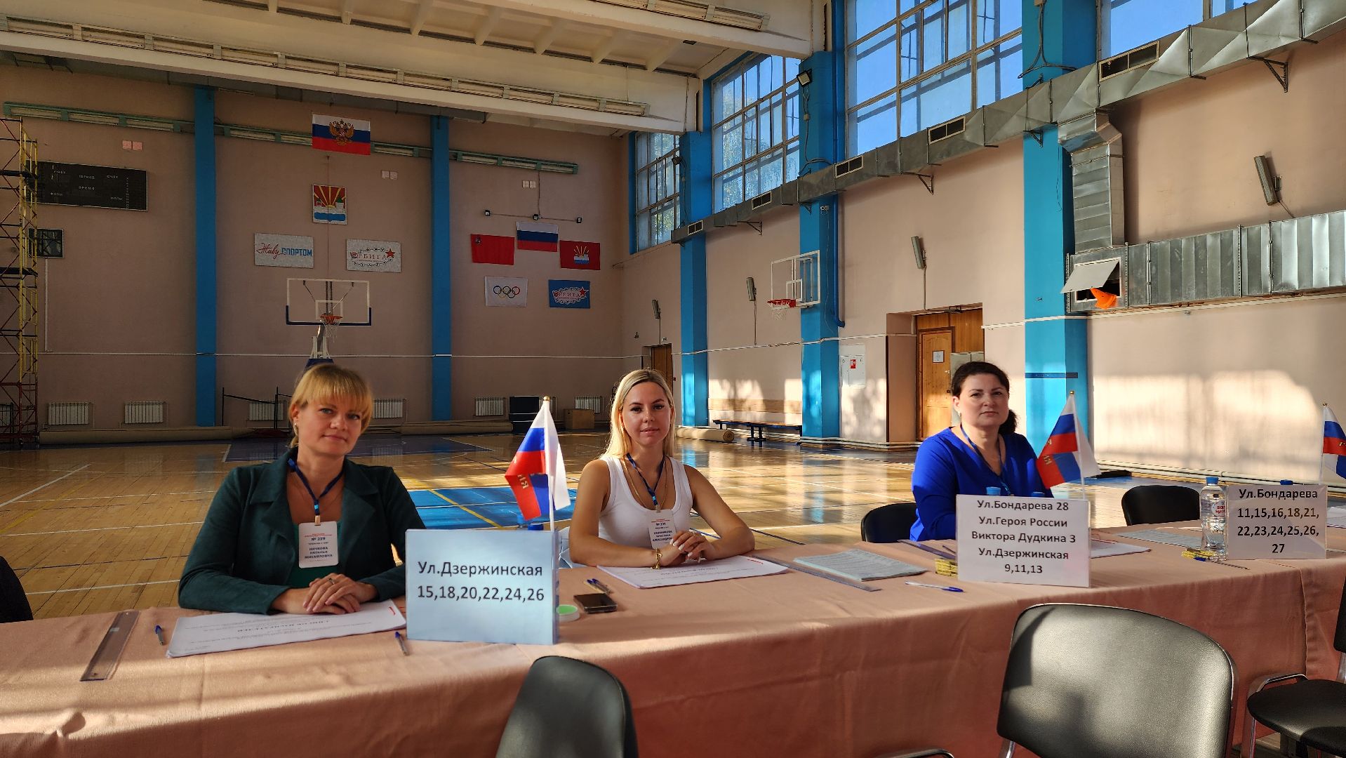 выборы, совет депутатов, местные выборы, уик,