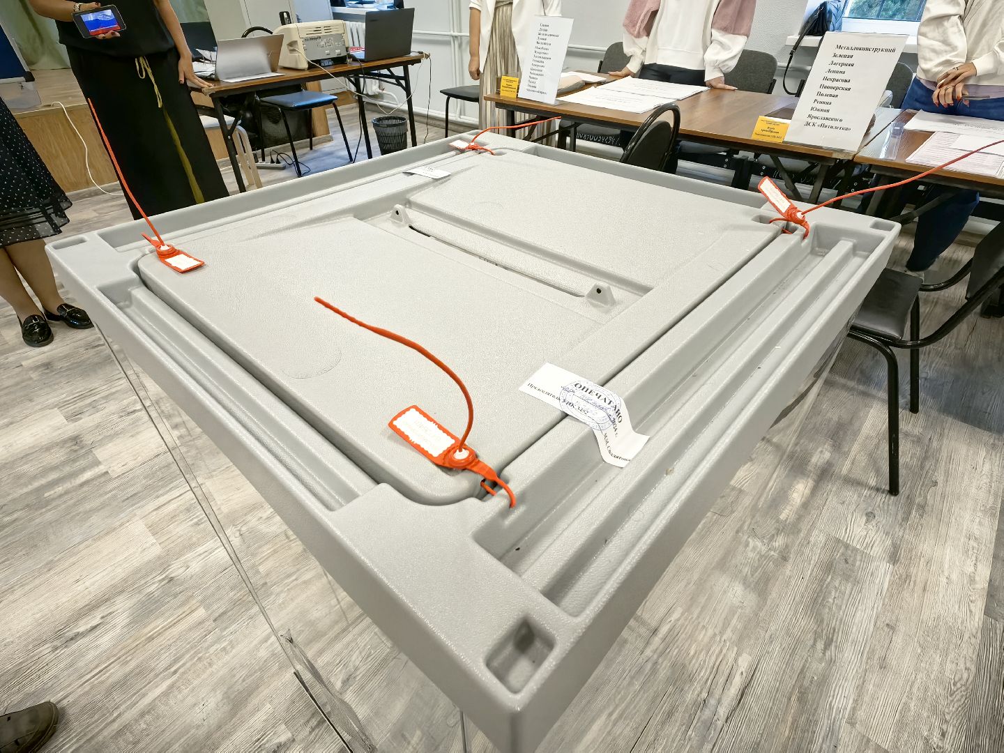 выборы 2024, совет депутатов, наблюдатели, избиратели, УИК,