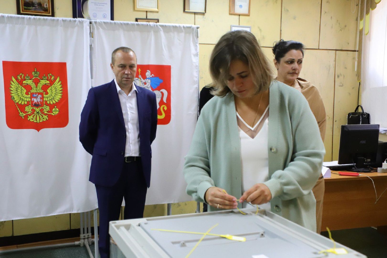 воскресенск, выборы депутатов, глава округа,