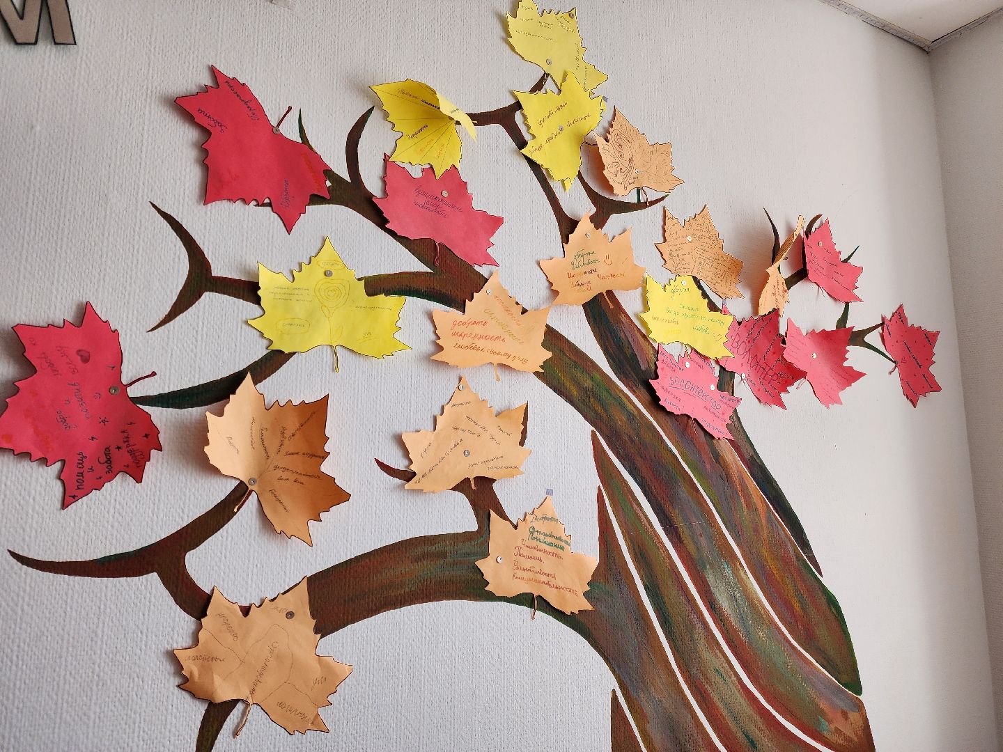 ногинск, волонтер, жители, общество, штаб волонтеров, молодежный центр, молодежь,