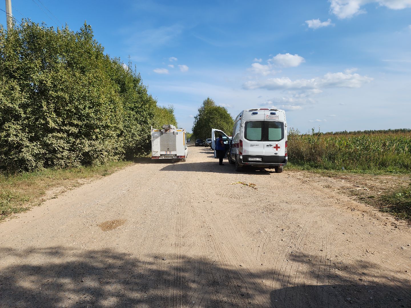 Руза, Ватулино, Чп, Авиакатастрофа, рузский городской округ, Самолет, рузский округ,
