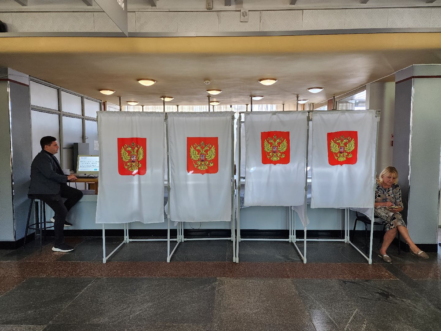 раменское, выборы, дистанционное электронное голосование,