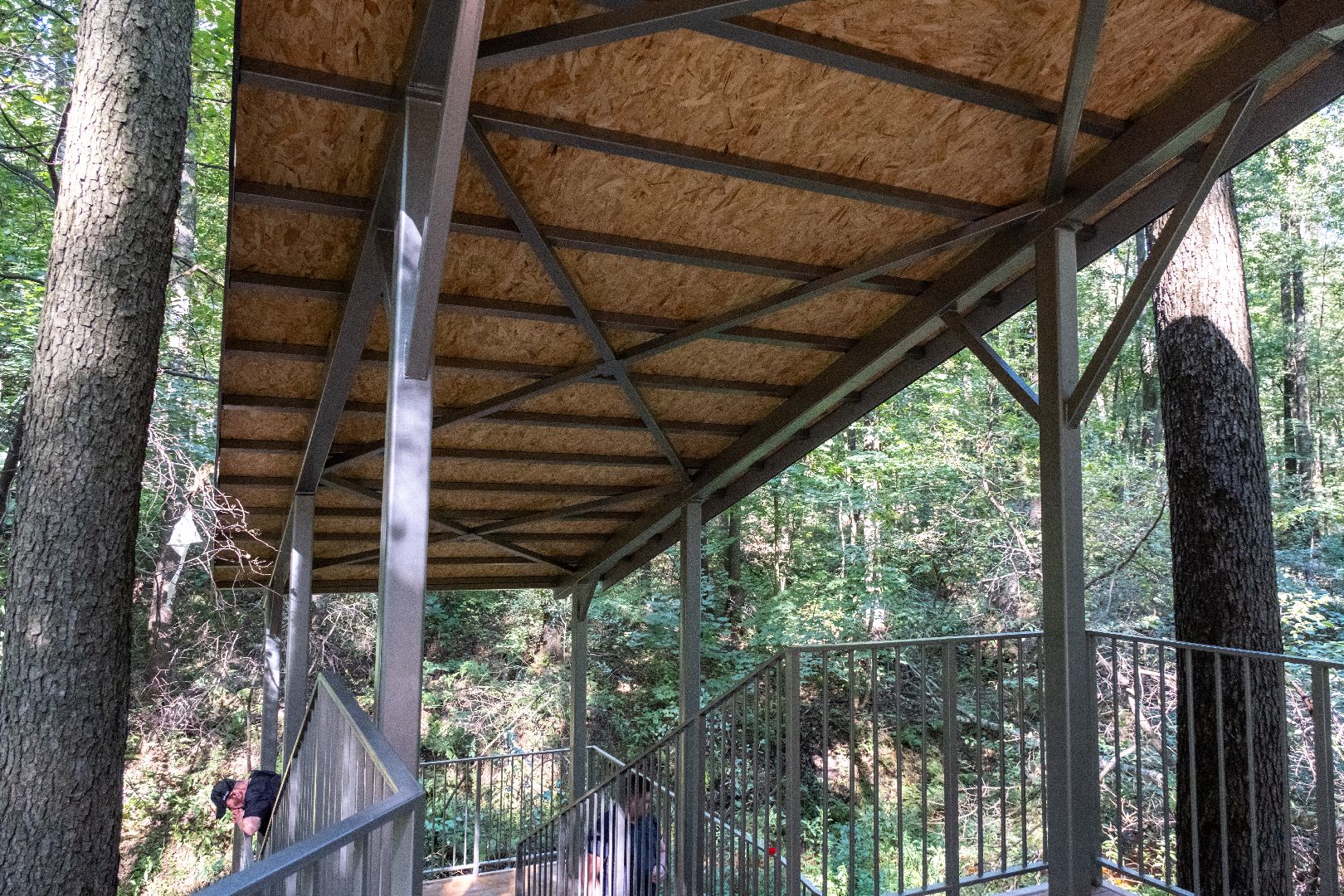 лыткарино, волкуша, родник, благоустройство,лыткарино карьер,