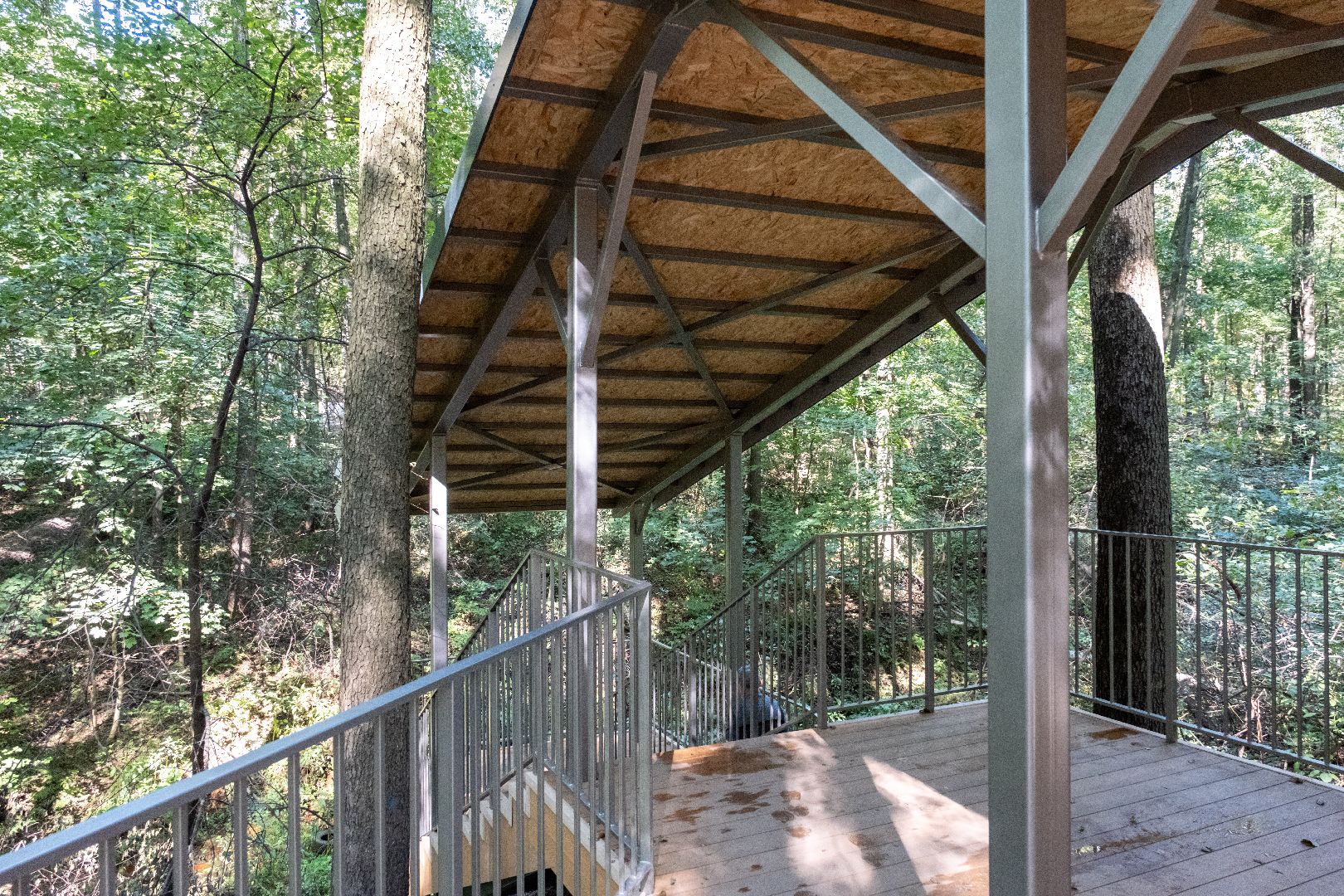 лыткарино, волкуша, родник, благоустройство,лыткарино карьер,