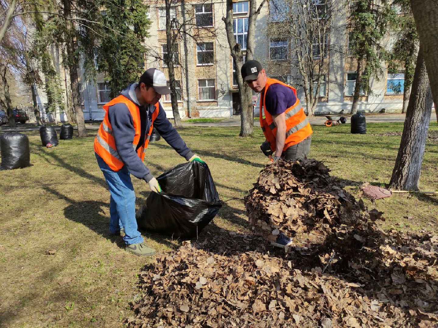 Лыткарино, уборка