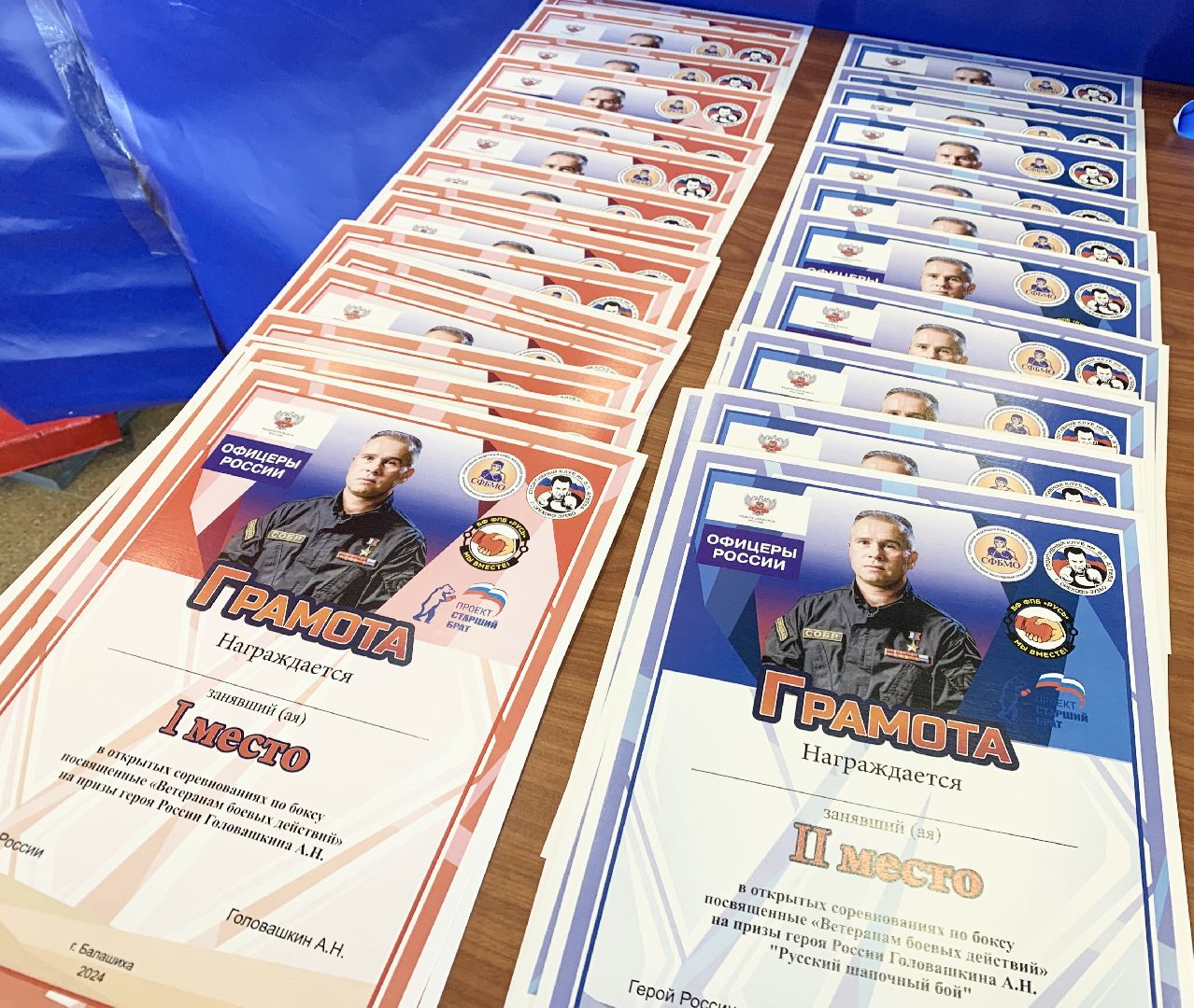 Балашиха, Подмосковье, турнир по боксу, Александр Головашкин, ветераны боевых действий,