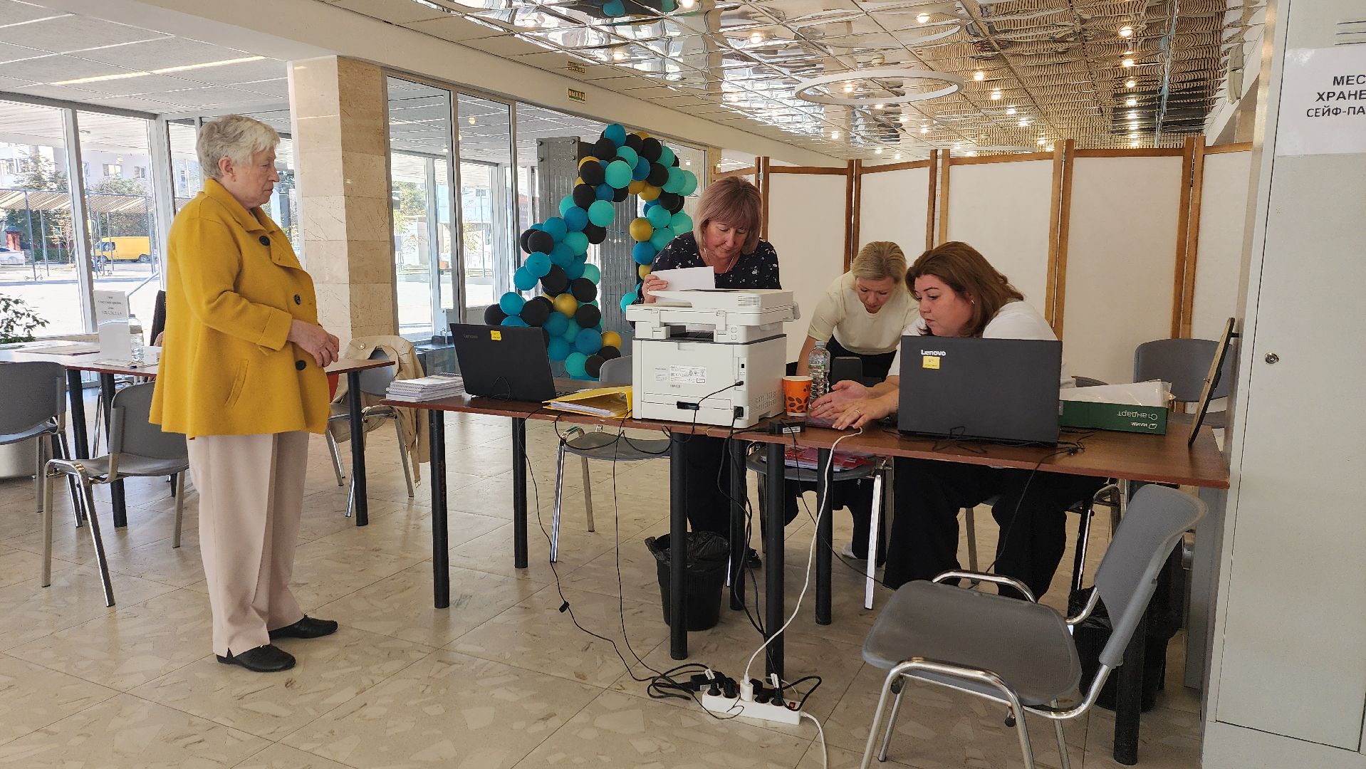 ивантеевка, пушкинский, художник, инвалид, выборы в совет депутатов 2024, голосование 2024,