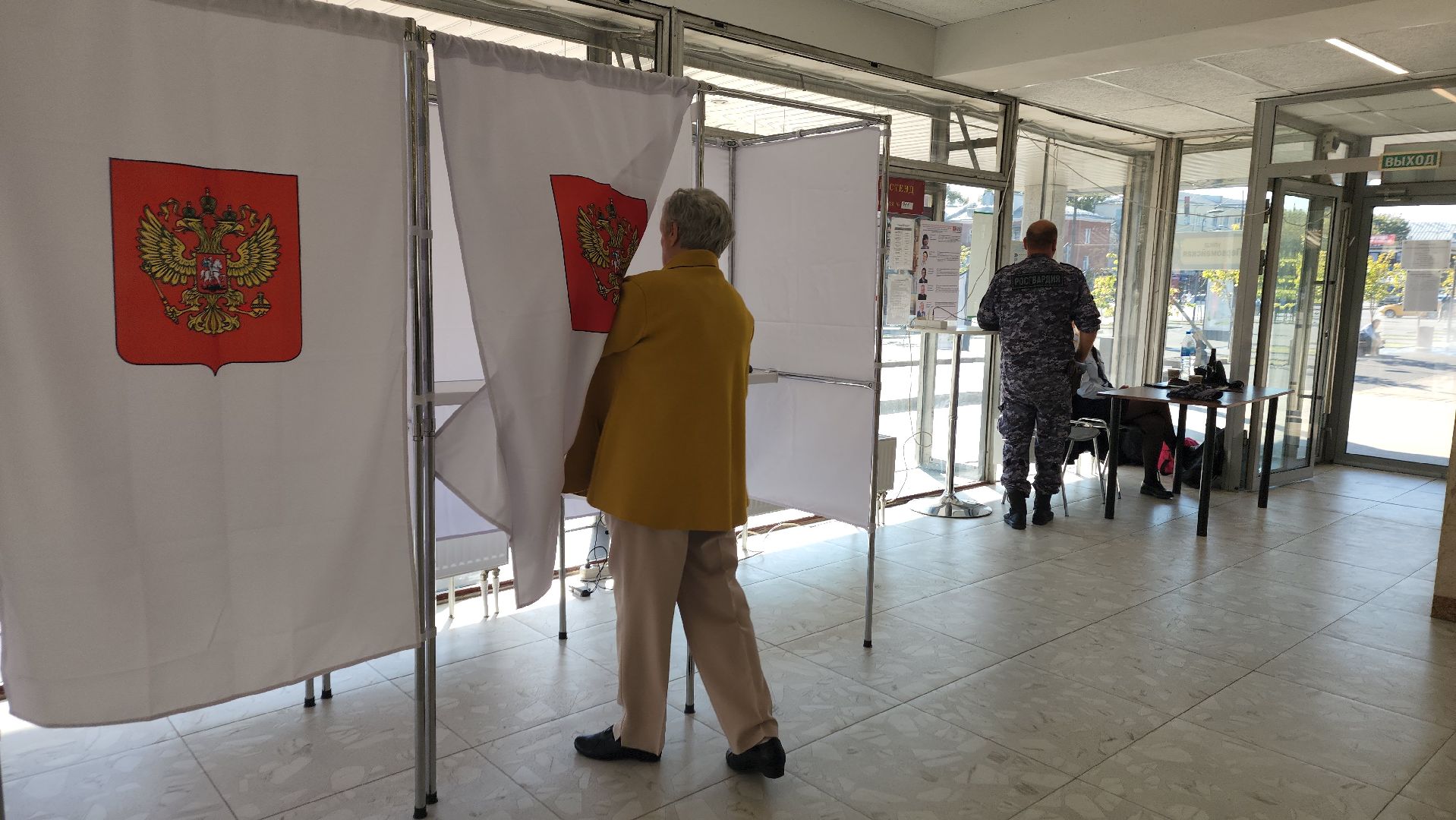 ивантеевка, пушкинский, художник, инвалид, выборы в совет депутатов 2024, голосование 2024,