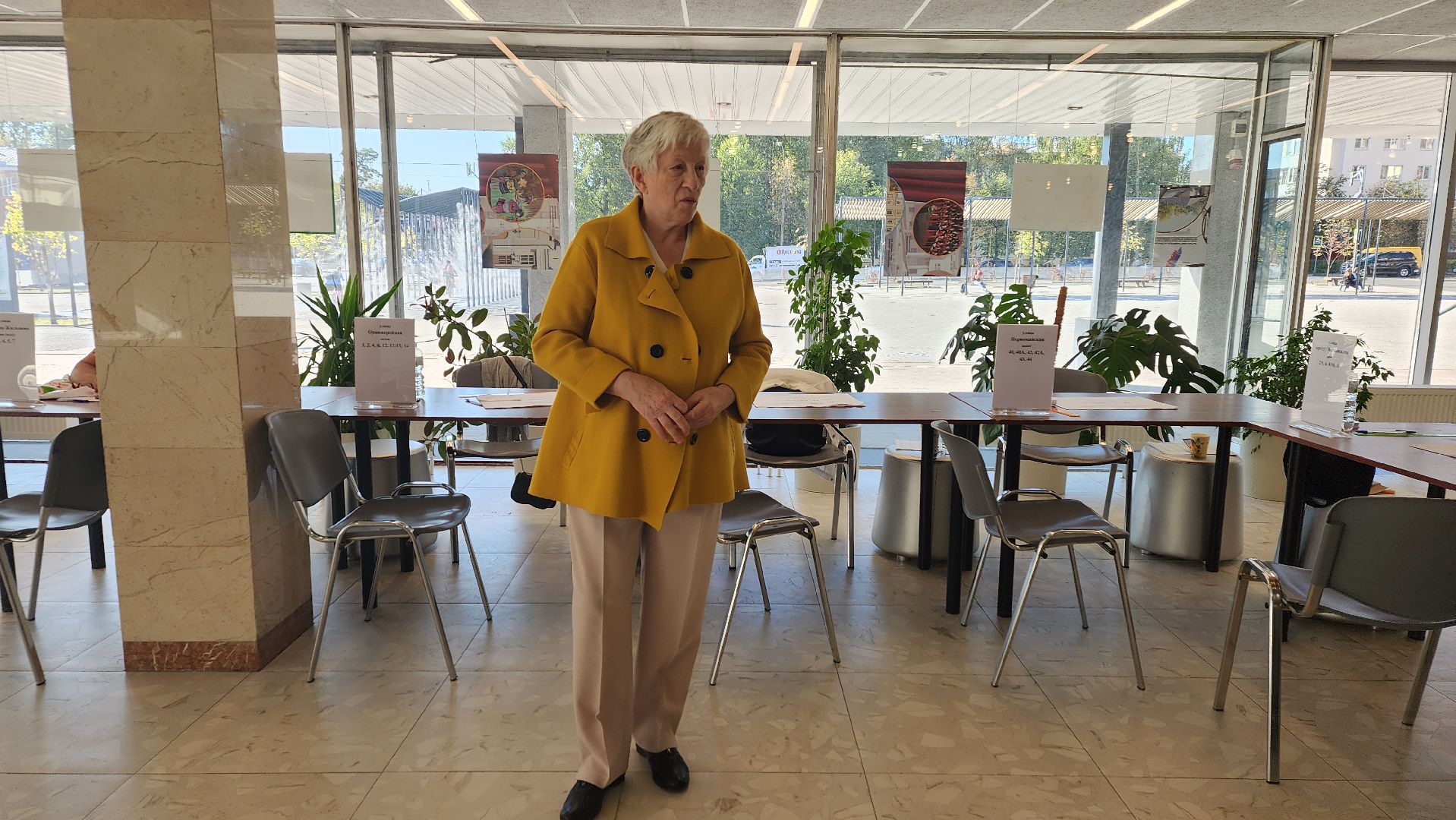 ивантеевка, пушкинский, художник, инвалид, выборы в совет депутатов 2024, голосование 2024,