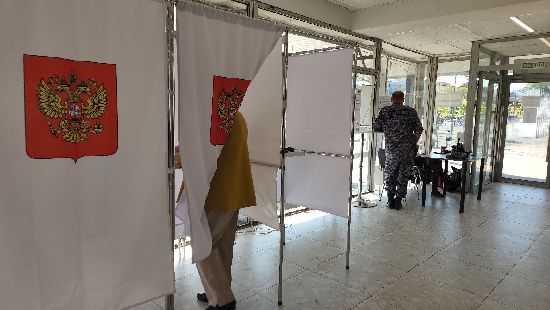 ивантеевка, пушкинский, художник, инвалид, выборы в совет депутатов 2024, голосование 2024,