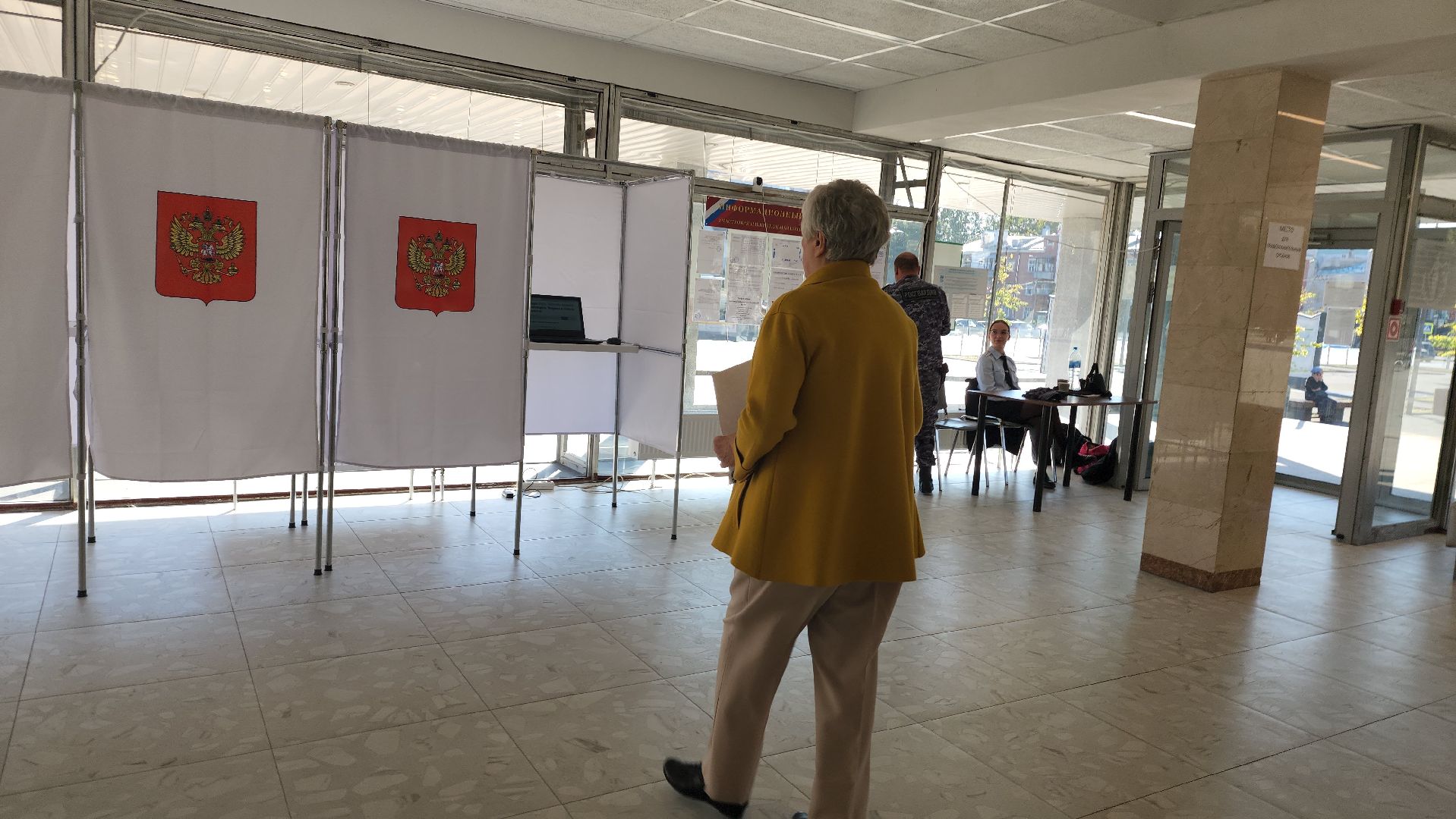 ивантеевка, пушкинский, художник, инвалид, выборы в совет депутатов 2024, голосование 2024,