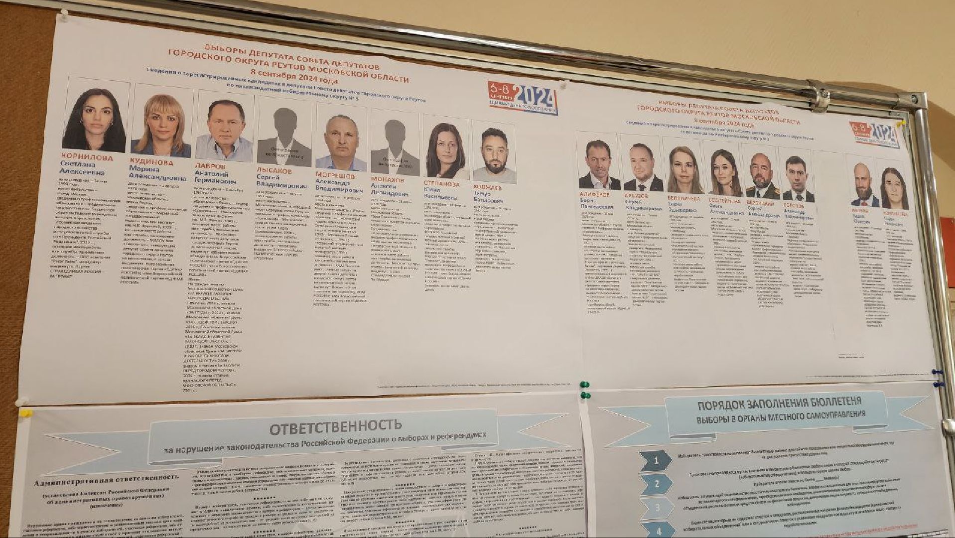 Реутов, выборы, голосование, депутаты, совет депутатов, самбо, Михаил Илинич,