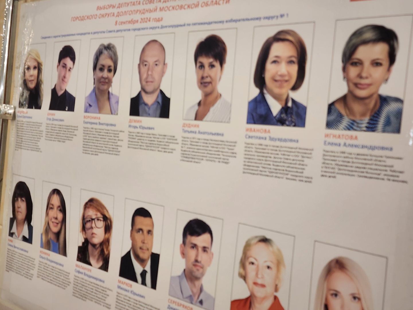выборы совета депутатов, долгопрудный, ИК МО,
