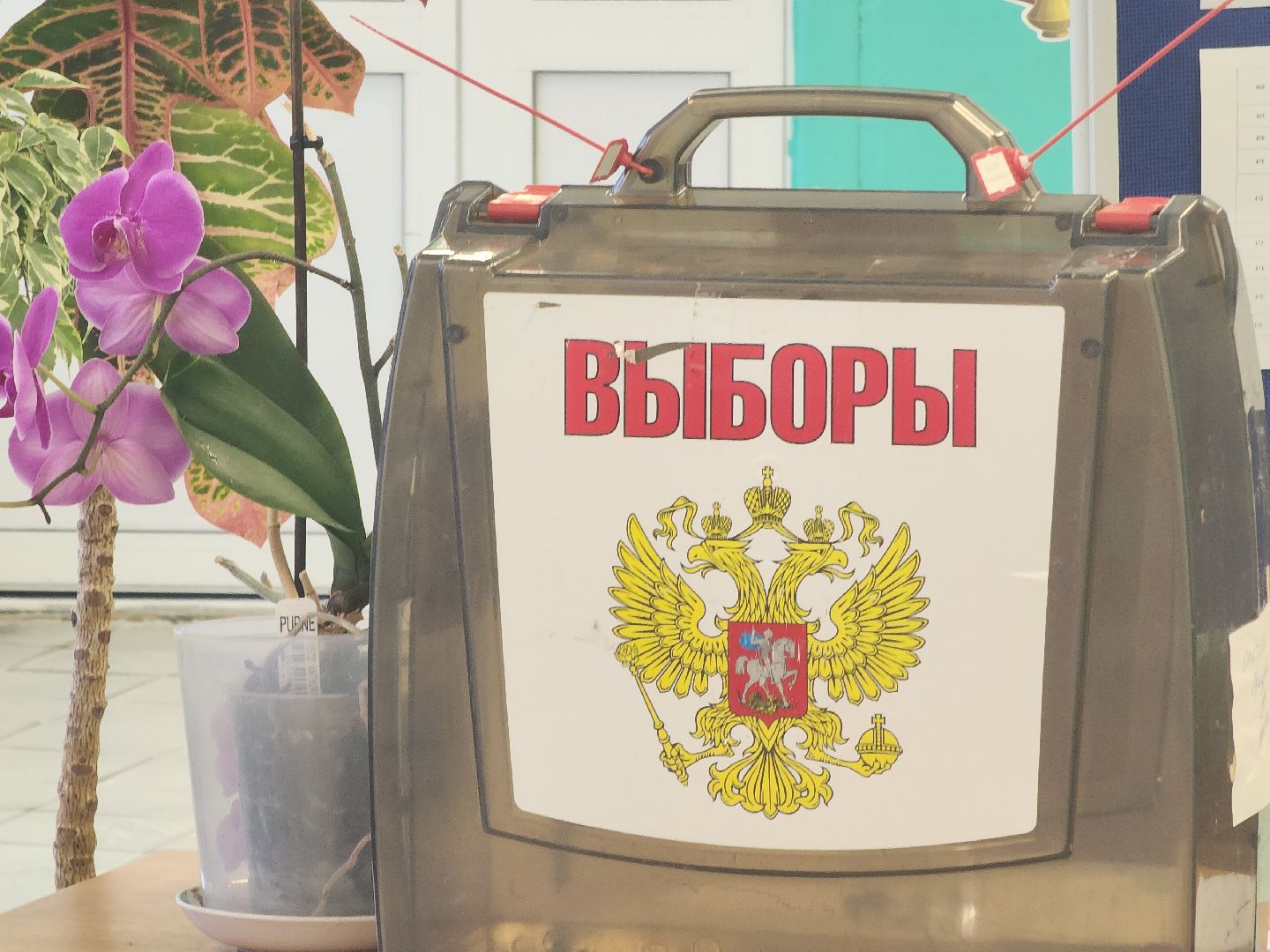 Дубна, Многодетная мать, голосование 2024, выборы в совет депутатов,